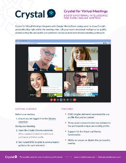 Crystal - Virtual Meetings (1)