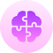 brain