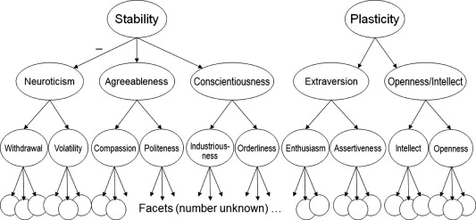 big-five-hierarchy