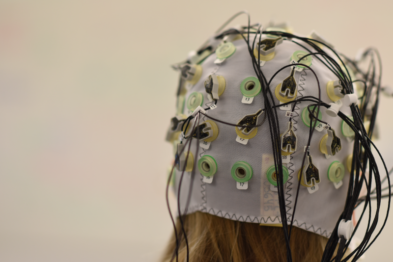 eeg