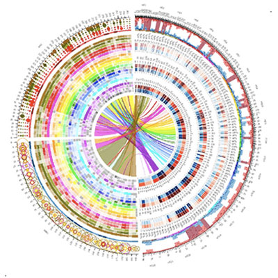 genome