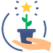 beginning